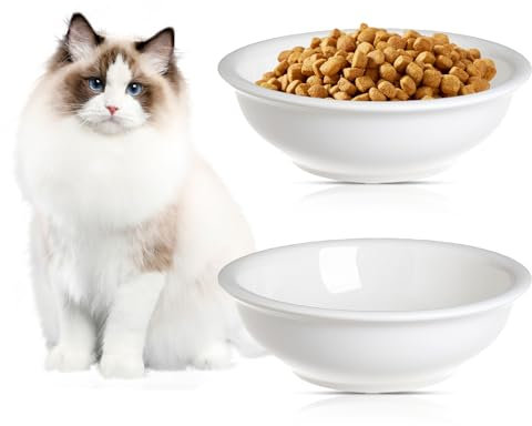 NomeDiMarca Ciotola in Ceramica Rialzata: 2 Pezzi Ciotola Elegante per Gatto, Ciotola Antiscivolo, per Casa (Bianca/360ml)