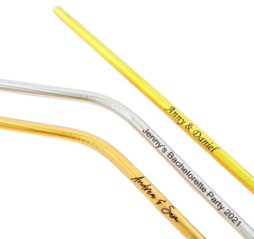 Lot de 10 pailles en acier inoxydable gravées avec pinceau, gravure laser personnalisée, pailles en métal réutilisables