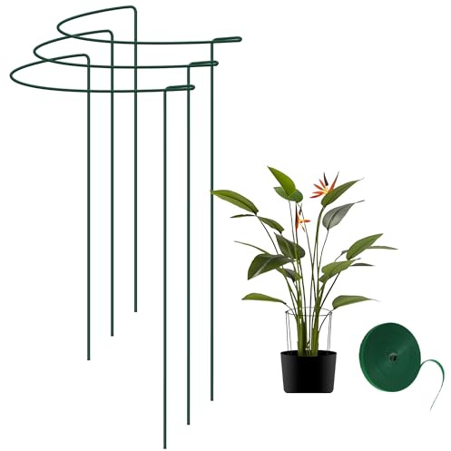honzhaoyu Pflanzenstütze 3 Stück 25x40cm – Metall Ringkäfig Rankhilfe für Blumen, Gemüse & Stauden, Stabiler Pflanzenhalter inkl. 5m Pflanzenbinder, Grün