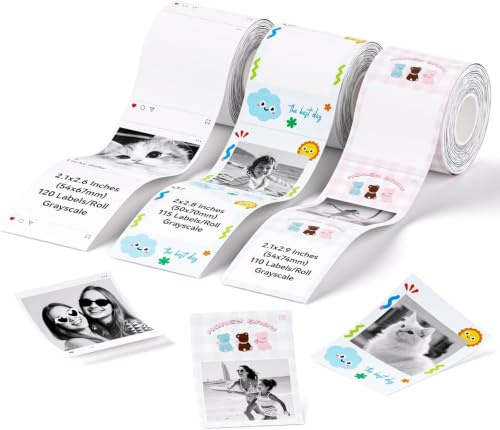 NIIMBOT Etiquetas solo para etiquetadora B1 Pro/B2 Pro/B21 Pro | papel térmico 54 x 67 mm, 54 x 74 mm, 50 x 70 mm, etiquetas adhesivas de papel térmico para fotos/frascos/especias/documentos