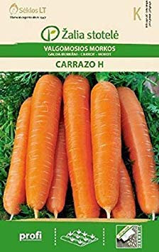 Potseed Karottensamen Carvora H- Spät, Fertile Nantes Hybrid, Karotten 17-20Cm Lange Juicy