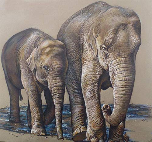 XCSQTYMY Malen Nach Zahlen Bunter Elefant DIY Ölgemälde Vorgedruckt Leinwand Paint by Numbers Geschenk für Home Wall Dekor Malen Nach Zahlen Erwachsene