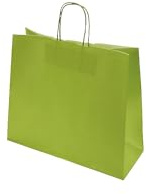 kaiserkraft | Papiertragetasche FRESH | Grün | LxBxH 320 x 130 x 280 mm | 100 g/m² | VE 250 Stk