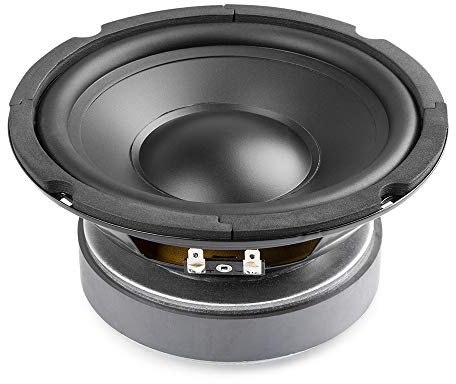 Fenton WPP16 - Woofer con Cono de 16 cm (6,5 Pulgadas), 175 vatios máx., suspensión de Goma, Bobina Resistente al Calor, Ideal para Altavoz HiFi o Altavoz de Repuesto