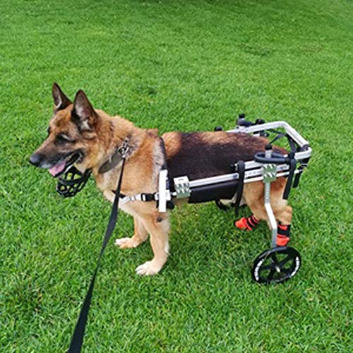 Cora Pet Rollstuhl Fahrradanhänger Hunderollstuhl für Mittlerer Hund Katze Kaninchen Hinterbein/Hintere Füße, Hunderollwagen Gehhilfe Hundegehilfe, Wagen für Haustier mit Einem Gewicht von 9-18 KG