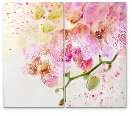 DEQORI Herdabdeckplatten Glas | 2er Set 60x52 cm | Motiv Orchideenflüstern | Ceranfeld Abdeckplatten in Küche | Herd-Abdeckungen universal | Glasplatten & Schneidebretter für Kochplatte