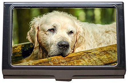 Yanteng Visitenkartenetui Brieftasche Kreditkarte ID Fall, Golden Retriever Dog Retriever männlich alt, Visitenkartenetui Edelstahl