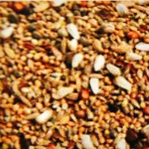 5 kg Agapornidenfutter, Vogelfutter für Zwergpapagein, Futter