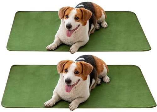 FANSU 2er-Pack Tragbar Welpen Unterlagen, Wiederverwendbare PIPI Matten für Hunde, Wasseraufnahme Inkontinenzunterlage, rutschfest Welpenunterlage, für Zuhause/Auto/Reisen (107x77cm,Grün)