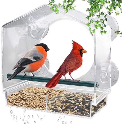 Fenster Vogelfutterhaus Acryl, Großes Fenster Futterhaus für Vögel 21.5x20.5x10cm(LxWxH), Vogelfutterspender mit 2 Zellen, für kleine Wildvögel