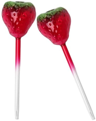 TOYANDONA 2pièces Systèmes Arrosage Automatique pour Plantes Intérieur Et Extérieur Globes Verre Réutilisables avec Forme De Fraise