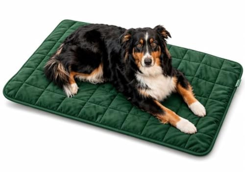 SchnauzenHaus Wasserdichte Hundedecke Auto Rückbank & Outdoor – Rutschfest, Waschbar, Extra Robust – Schutzdecke für Hunde Reisen, Sofa & Kofferraum – Kratzfeste & Schmutzabweisende Hundematte