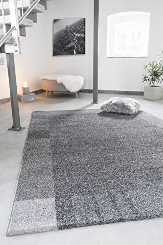 andiamo Webteppich moderner stilvoller Kurzflor Teppich robust und pflegeleicht aus 100% Polypropylen geeignet für Fußbodenheizung und Saugroboter 160 x 230 cm Bordüre Grau