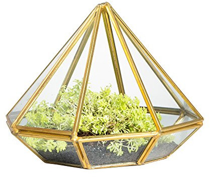 NCYP Handgemachtes Gold Offenes Glas Geometrisches Terrarium Messing Diamant Sukkulenten Farn Moos Pflanze Ausstellungsbehälter Balkon Kleines Pflanzgefäß Innen Herzstück (Keine Pflanzen)