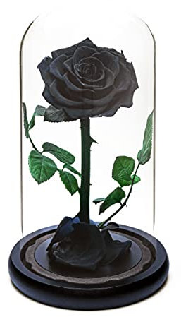 Eternal Forever Rose | Fresh Rose Gift | Single Rose Preserved for 5 Years | Handcrafted | Gifts for Women Birthday unique Unusual | Mother’s Day, Anniversary, Christmas valentine’s day (Black)