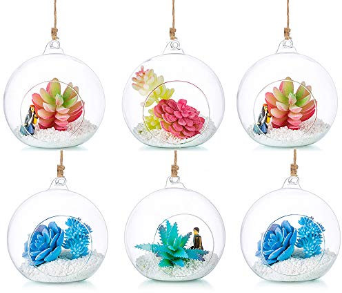 Terrarium en Verre Suspendu 6 Pièces Grande Ouverture Vase Plante Boules 12cm Fleur Vase Pot Boules De Verre Creativesverre la Conception de Bricolage de Jardin de Mariage à la Maison