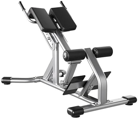 ASSICON Kommerzieller römischer Stuhl, Hyperextensionsbank, Rückentrainingsgerät, Ab-Trainingsgerät, Fitnessgerät für Heim-Fitnessstudio, Belastung 300 kg