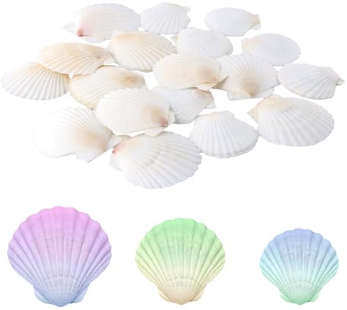 20 Pezzi Conchiglie di Capesante Bianche, Conchiglie Naturali Decorative Grandi, per la Creazione di Decorazioni di Nozze, Decorazione per Cucina, Feste a Tema sulla Spiaggia Fai da Te