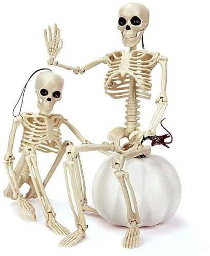 Mrracxy Deco Halloween Squelettes Réalistes Décorations Squelette d'halloween Posable pour Intérieure et Extérieure, Accessoires Fête Halloween -2PCS