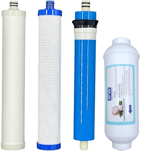 IPW Industries Inc Lot de 4 filtres à charbon AC30 RO - Coquille de noix de coco - Multicolore
