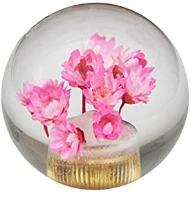 JINGLINGKJ Schaltknauf Geschenke für Freundin Blume in Bubble Water Stick MT bei Universal Transparent Acryl Schaltknauf Kopf Autoteile (Rosa)