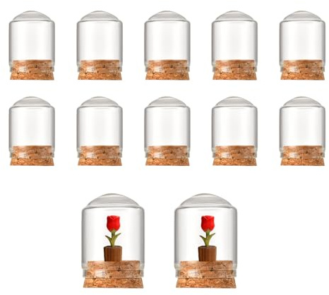 12 mini campane in vetro da 10 ml con base in sughero, cupola per fiori secchi, bomboniere, decorazioni natalizie, centrotavola per la casa, 3 x 4 cm