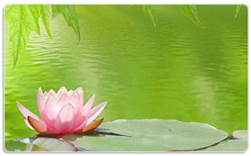 Wallario Frühstücksbrettchen aus Glas, Glasunterlage, Glasbrettchen Seerose auf dem Wasser, Größe 14 x 23 cm, Sicherheitsglas