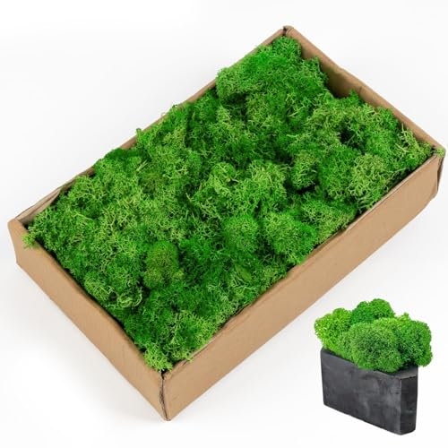 AIYONG Musgo de Islandia, 200g Musgo Natural Preservado, Decorativo para Manualidades, Modelismo, DIY, Verde Natural, Terrarios, Jardinería, Pared, Floristería, Mesa de Pascua, Boda, Reutilizable