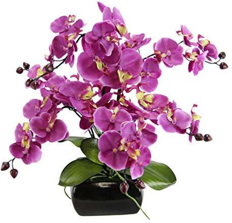 Kunstblume Schmetterling Orchidee mit Blätter und Luftwurzeln in Schale aus Keramik Künstliche Blume Kunstorchidee Phalaenopsis mit Übertopf Kunstpflanze Hochzeit Deko Seidenblume Real Touch Blüte