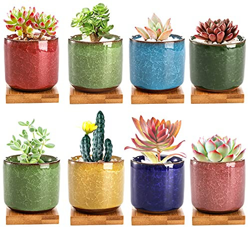 Lawei 8 Stück Keramik Sukkulenten Töpfe 6.3cm Kaktus Pflanze Töpfe Mini Töpfchen mit Bambus Untersetzer MiniaturPflanzer Container für Kaktus Miniaturpflanzen