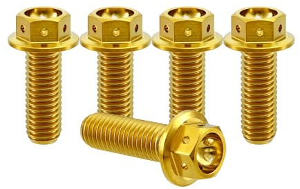 RISON-Titanium 5 Stück Titanschrauben M8x1.25x20mm, Titan Flansch Schrauben Sechskantschraube, Titan Schrauben Bolzen Bremssattelschraube Motorradschrauben Autoschrauben