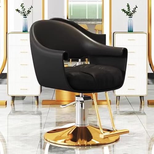 Generisch Friseurstuhl für Friseure, Hochleistungs-Stylistenstuhl mit Hydraulikpumpe und Fußstütze, Verstellbarer Friseurstuhl, Spa-Schönheitsausrüstung für Frauen und Männer, Gold