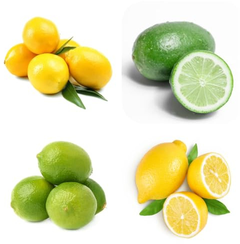 semillas de limonero para balcones de balcón con forma de columna, limonero, resistentes para el jardín, 85pcs
