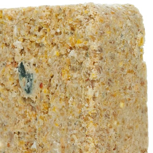 BusyBeaks Suet Fat Blocks | Premium Garden Wild Bird Food | Enhanced Formula | Naturally Blended, High in Energy & Protein-Rich Feed | Full of Nutritious Fat Fibre & Moisture (Mealworm, 10)