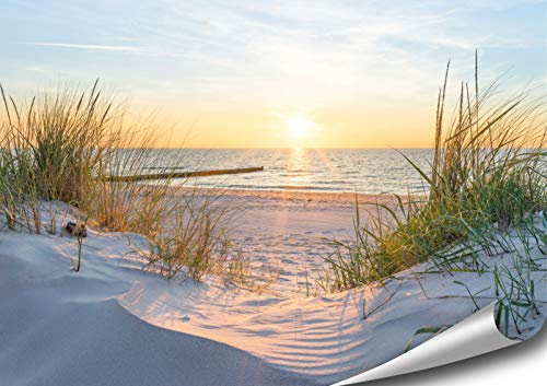 ARTBAY Meer Poster XXL - 118,8 x 84 cm | Sonnenaufgang am Strand | Dünen | Natur Poster | Premium Qualität