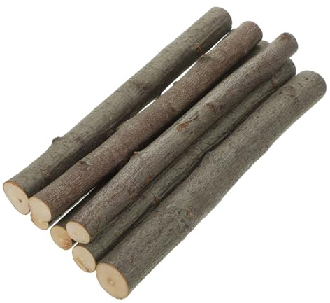 Holibanna ramas de abedul ramitas de abedul naturales centros de mesa artesanales decorativos palos de madera secos accesorios de fotos artísticas 15 cm