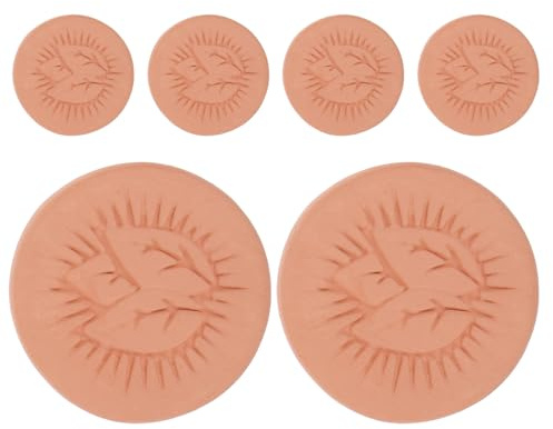 minkissy Lot de 6 Pierres Humidificatrices en Terre Cuite Forme Feuille, Diamètre 3,7 Cm, Adoucisseur de Biscuits et Gardien de Sucre Réutilisable pour Cigares, Sachet D'humidité