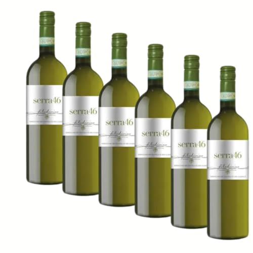 SUPER OFFERTA VERDICCHIO DEI CASTELLI DI JESI DOC | Vino BIANCO | FILODIVINO | MARCHE | 6 Bottiglie 75cl | Idea Regalo