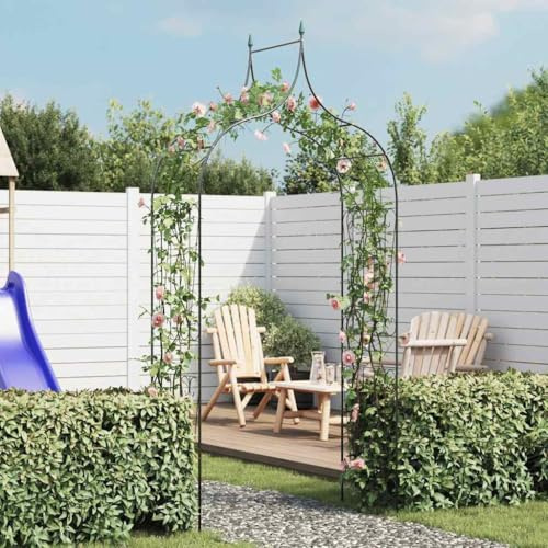 Kaloriko Arco de rosas de hierro verde oscuro, 129 x 60 x 283 cm, resistente a la intemperie, para rosas, clemátides, plantas trepadoras, ideal para jardín, terraza, balcón, arco y cenador