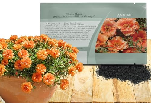 Outsidepride Orange Moss Rose Seeds - 5000 Pcs Annual, Drought & Heat Tolerant, Pollinator Friendly Ground Cover Seeds for Planting w/Vibrant Blooms & Succulent Foliage, Ideal for Xeriscaping
