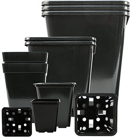 5-stk Profi-Pflanztopf viereckig 36,5x36,5x36,5-cm 30-Liter • Hochwertiger PP Kunststoff • Perfekt für Indoor & Outdoor z.B Winter-Garten Terasse Grow-Box • Blumen-Topf für & sehr große Pflanzen, Palmen