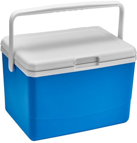 LYEAA 5L Grill-Isolierbox mit Griff, Lebensmittelaufbewahrung, Kühlbox, Wärmekonservierung, Frischhalte-Inkubator for Camping, Tailgating