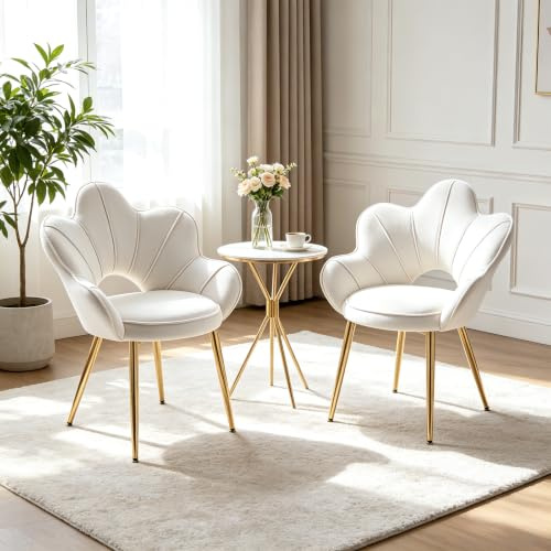 Chummaven Samt Esszimmerstühle Gold-Metallbeine 2er Set Muschelsessel Creme | Gepolstert, mit Armlehne, Offene Muschel-Rückenlehne, Moderne Stil, Luxus Polsterstuhl für Küche Wohnzimmer Schlafzimmer