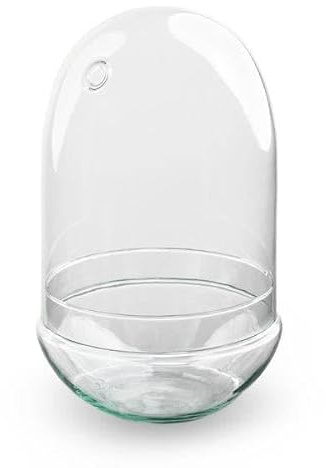 Flaschengarten Terrarium Ei XL – Rundes Kuppelterrarium aus recyceltem Glas – Ø17,5 cm, Höhe 30 cm – Nachhaltige Glasflasche für Pflanzen und Dekoration