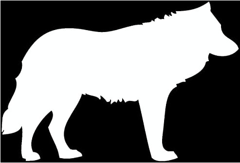 Samunshi® Wolf Tier Aufkleber Autoaufkleber Sticker für Auto Motorrad Wohnmobil Scheiben in 8 Größen und 25 Farben (20x13,4cm weiß)