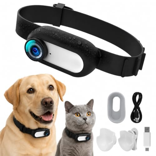2026 Neue Katzen Kamera Halsband, 1080P 170° Weitwinkel Katzen Kamera, HD USB Wiederaufladbar, Verstellbares Haustierkamerahalsband für Hunde und Katzen