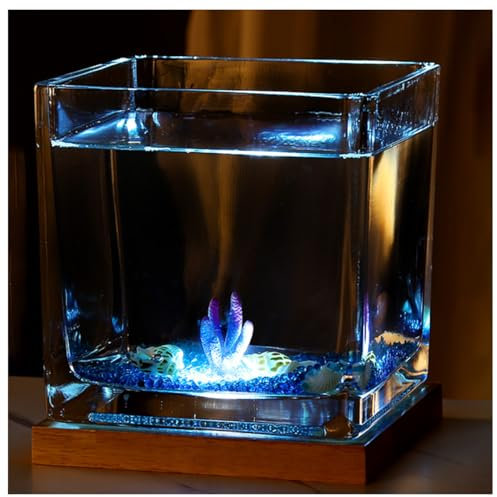Litet akvarium,Start akvarium, Fyrkantig akvarium i glas med varm och kall USB-ljusbas, for Bettas, Guppies, Räkor, Goldfis