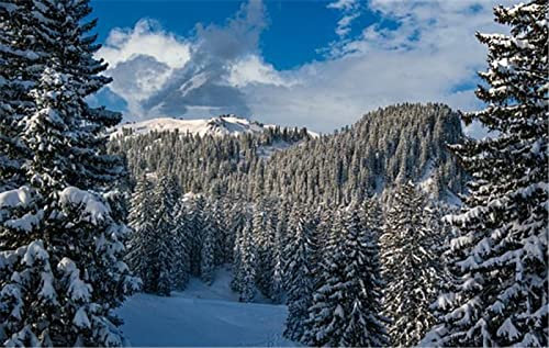 YINGXIN88 Puzzles für Erwachsene 2000 Teile Puzzle für Erwachsene 2000 Teile - Winterwald - 2000 Teile Puzzle Große Holzpuzzles Kinder Lernspiel Spielzeug Geschenk für Zuhause Wanddekoration-70x100cm