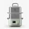 BUYDEEM All in one Food Steamer for Cooking - Stainless Steel 10L Capacity with Stew Pots and Ceramic Steaming Plate, 1500W, 6 Automatic Programs - Cozy Greenish