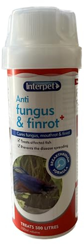 Interpet Anti Fungus and Finrot Aquarium Fish Treatment, 100 ml
